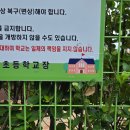 시립원평하나어린이집 주변 | 올케어 수영장 vs 스스로 수영장 (feat.자기주도적 아이로 키우기)