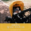 부가부 비6 당근 판매 후기 니 덕분에 애 둘 정말 잘 키웠다!!