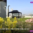 슈어스테이플러스호텔 | 슈어스테이 플러스 호텔 바이 베스트웨스턴 아산 | 아산 호텔리뷰 💫