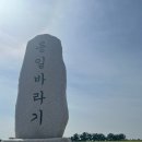 청춘이면호로고루점 이미지