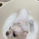 베리굿동물병원 이미지