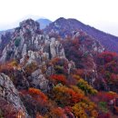 달마약수터 이미지