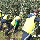 추산농로 이미지