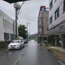 이오이오반점 이미지