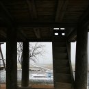삼지천 이미지