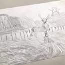 디오티미술관 이미지