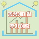 주식회사 동성케미컬 | 동성케미컬 주가 리뷰, 주가에 미치는 영향과 전망