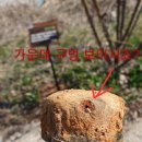 나주반남중학교 이미지
