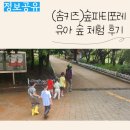 가운 중앙공원 | (유아숲체험) 숲파티포레 분당 중앙공원 가을 숲체험 후기