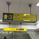 The D왈G # | [오사카] 4편 - 팀랩 보태니컬 가든 오사카 후기 (예약 방법, 기본 정보, 꿀팁, 관람 정보 등)