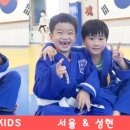 용인대 투혼 유도 클럽 이미지