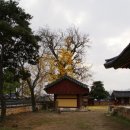 나주향교 이미지