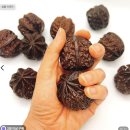 삼일영이 | 말랑이 파는곳 글로리영 슬랑이 스퀴시 3만원어치 비교