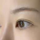 섬세하나래쉬