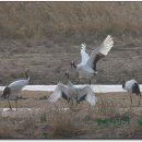 처음, 철원 이미지