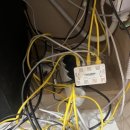 올리브한방병원 이미지