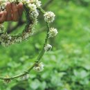 해맑은세탁소 이미지