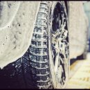 마이온게러지 이미지