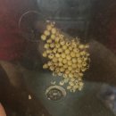 남도보쌈짚 산수점 이미지