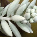 은월농장 이미지