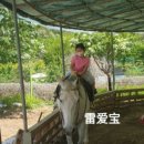 칠곡승마장