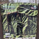 무릉도원면-51 이미지