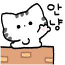 날으는고양이 이미지