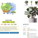 농림축산검역본부(식물검역기술개발센터) 이미지