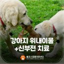 안중동물병원 이미지