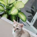 가경 나음 동물병원 이미지