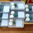 신동초등학교 병설유치원 이미지