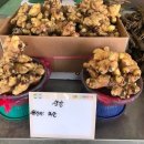 늘푸른상회 - 광진구 긴고랑로 41 | 늘푸른상회