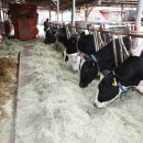 묵방목장 이미지