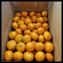 청량농장 이미지