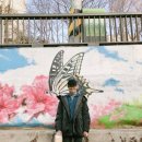 북악서점 이미지