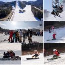 환영목장(2) 이미지