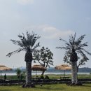 달리는 커피 홍성로데오점 | 보령 캠프타임 2박 3일 가족캠핑 ⛺｜B2·B3 두자사이트, 온수수영장, 석양 뷰 후기