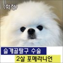 삼송사랑 동물의료센터 이미지