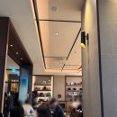 (주)조선호텔앤리조트 포포인츠 조선 서울역 | 스몰웨딩 포포인츠 서울역 더 이터리 하객 후기 (뷔페, 교통, 분위기 굿)