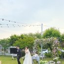 페브러리래빗 이미지