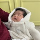 조은맘산후도우미 이미지