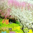 살다보면 이미지