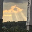딜리제마켓 - 용인시 처인구 처인성로 954 | 딜리제마켓