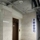메디캐슬의원 네이버블로그
