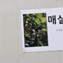 대박난한식뷔페