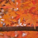 선운숲유치원 이미지