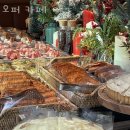 홍대 맛집 추천! 오퍼 카페 업체 정보 후기