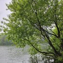 동항소류지 이미지