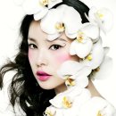 명품수입보세 이미지