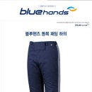 블루핸즈 이미지